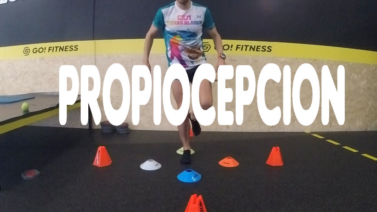 PROPIOCEPCION
