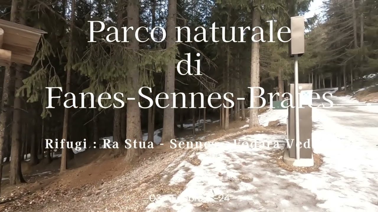 Escursione invernale , e giro ad anello,  a malga Ra Stua,  rifugio Sennes e Fodara Vedla.
