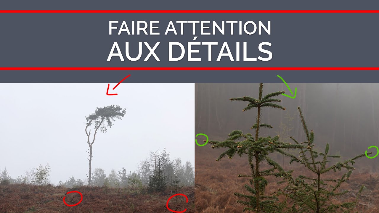 Faire attention aux détails