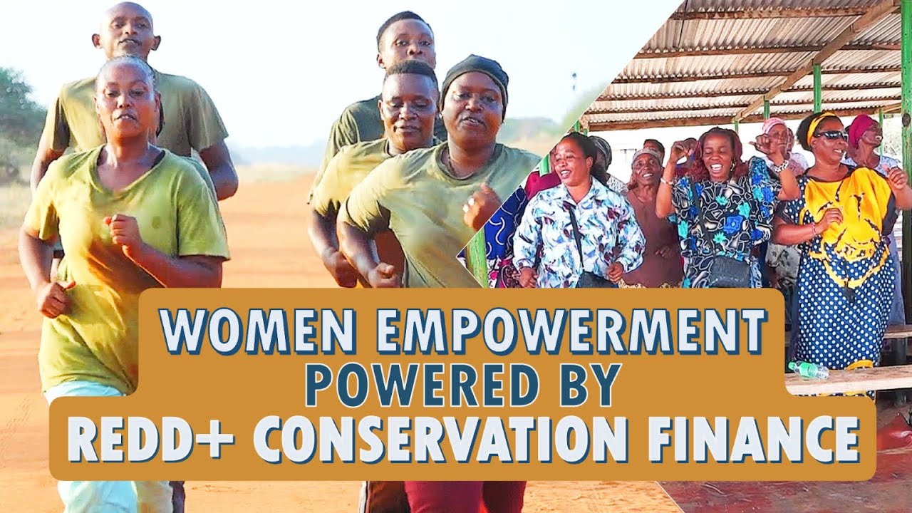 Women Rising Through Conservation | Empowerment Powered by REDD+ in Kenya