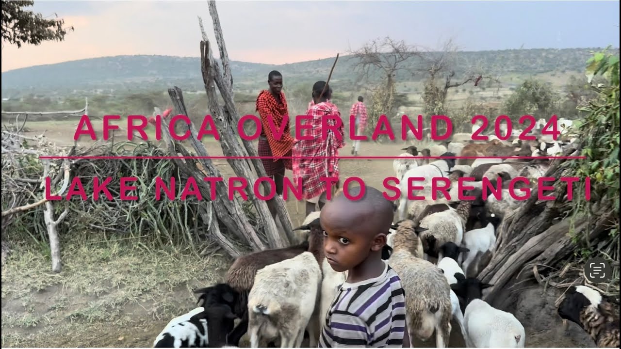2024 - Lake Natron to Kleins Gate, Serengeti, Tanzania - 7 -11 August 2024