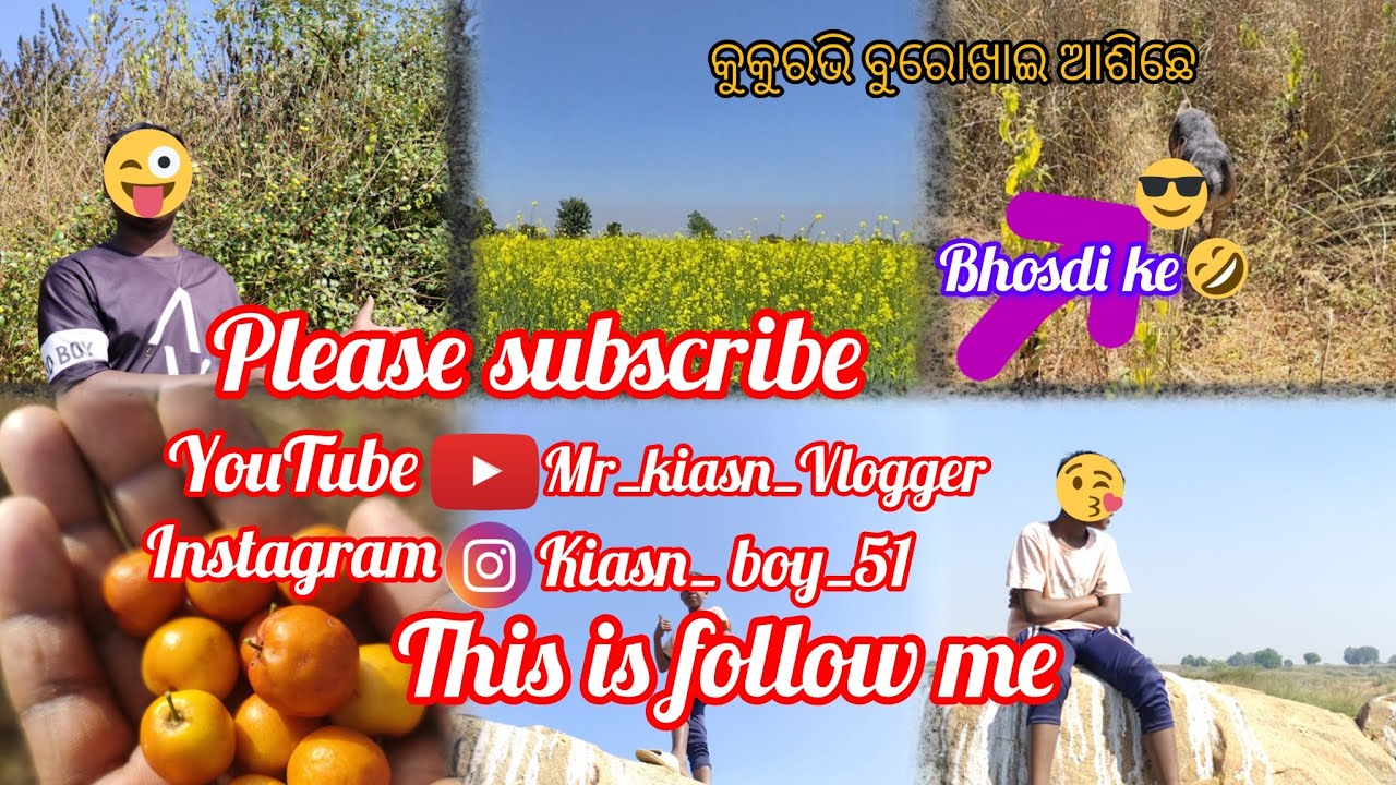 Please Subscribe Mor YouTube  Mr_kiasn_ vlogger କୁକୁରଭି ବୁରୋଖାଇ ଆଶିଛେ🤭😂@Mr_KiasnVlogger 