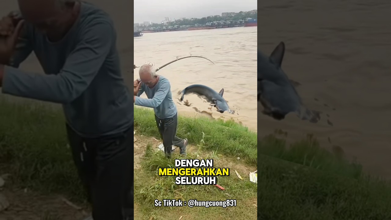 Busettt ikannya sebesar itu‼️ #fishing #mancing
