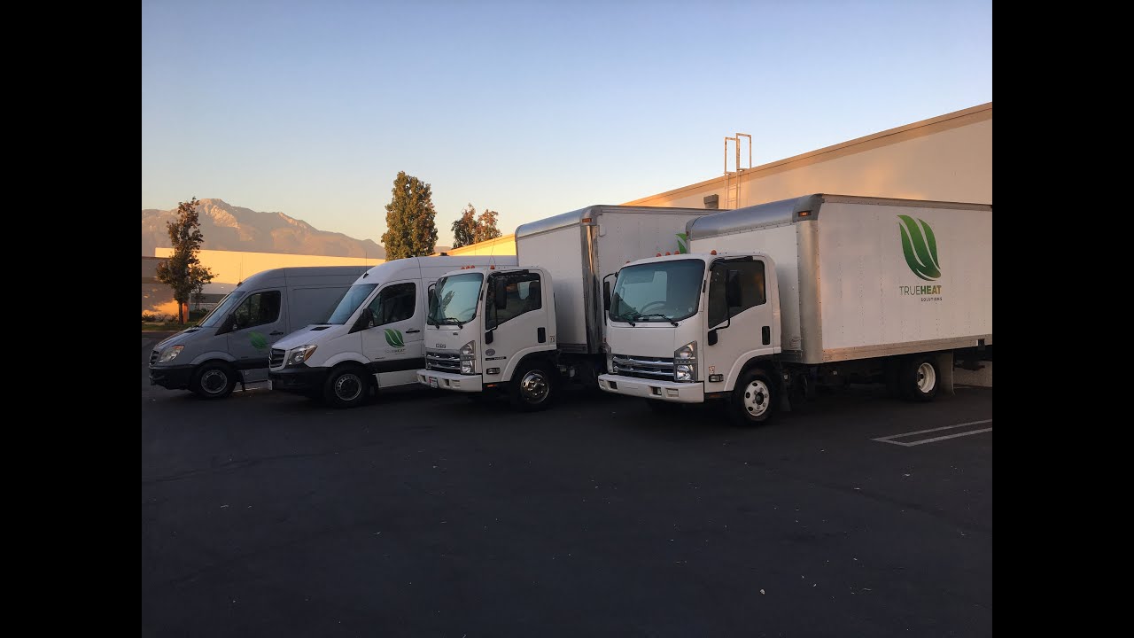 True Heat Solutions - Bed Bugs | Termites | Steaming | Rodent Proofing | Insulation