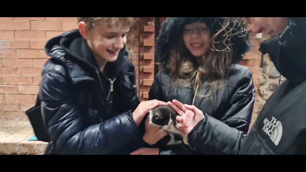 Развлекательный парк 