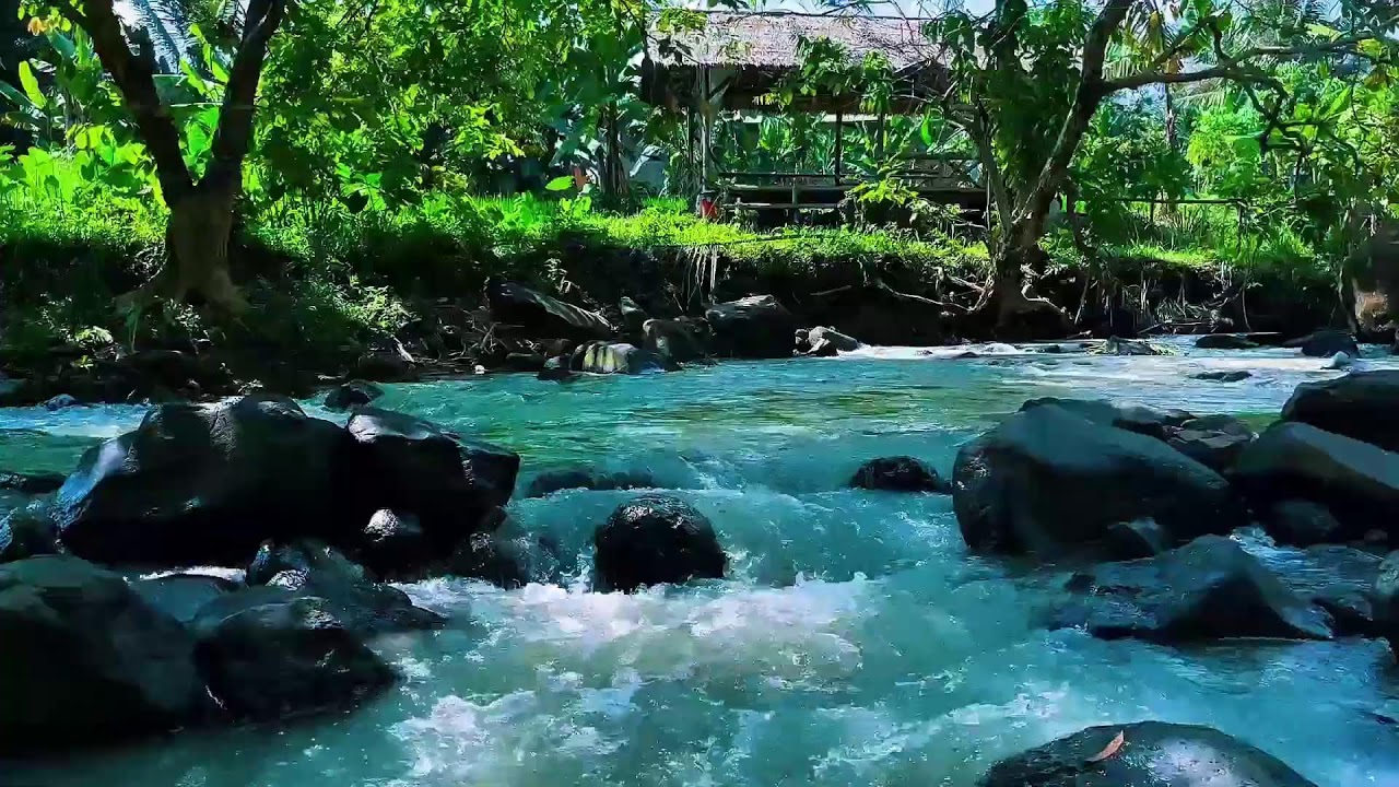 Relaxing River Flow with Birds Chirping for Concentration and Sleep