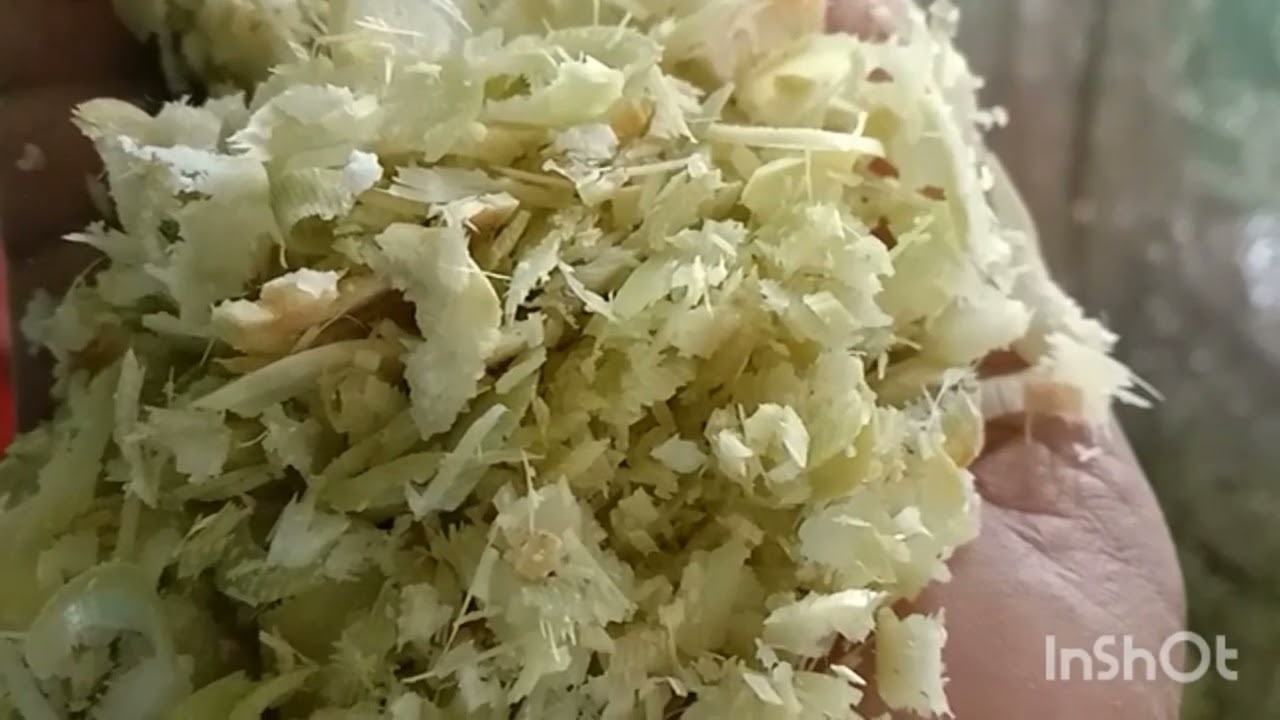 เลี้ยงหมูสูตรลดต้นทุนคลิปจัดเต็มบอกโดยละเอียดสูตรผสมอาหาร