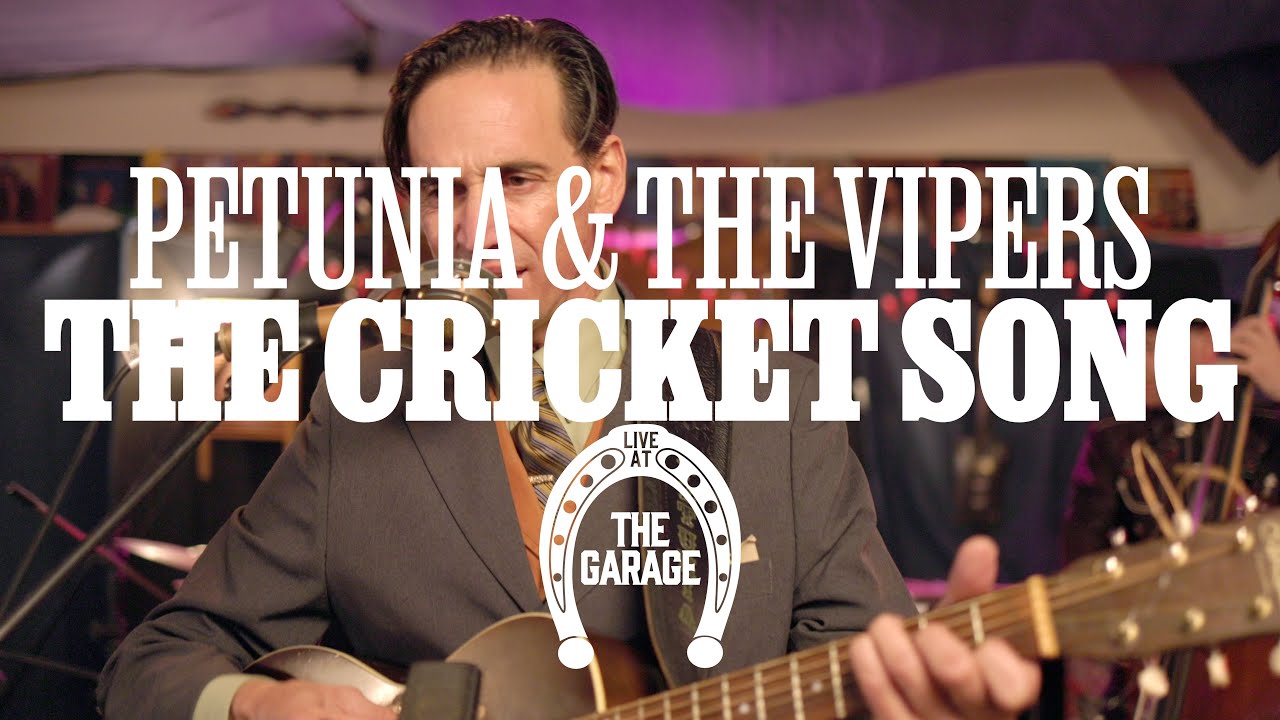 Petunia & The Vipers - 