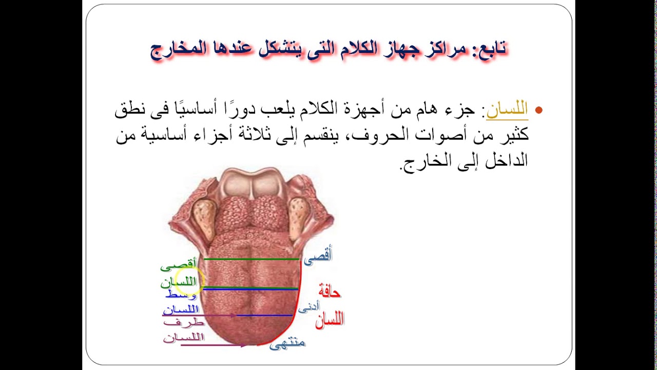 المحاضرة الثانية اونلاين - مادة اضطرابات النطق والكلام - الدبلوم المهني