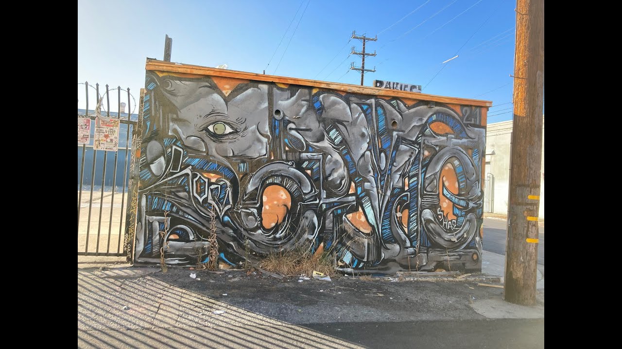 Los Angeles Graffiti Freight Trains Abandoned Building and Downtown Tour  July 2024