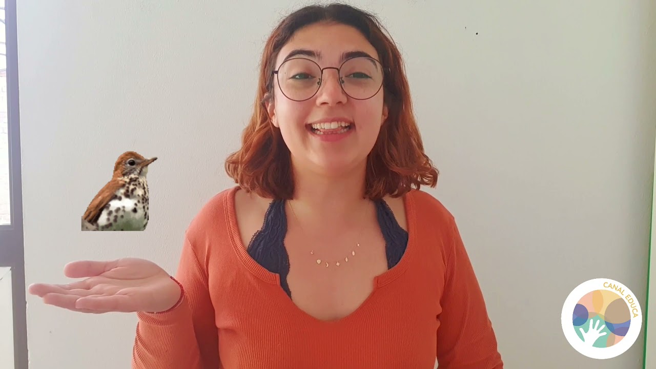 Bienvenida a la primavera -  Para niños y niñas.