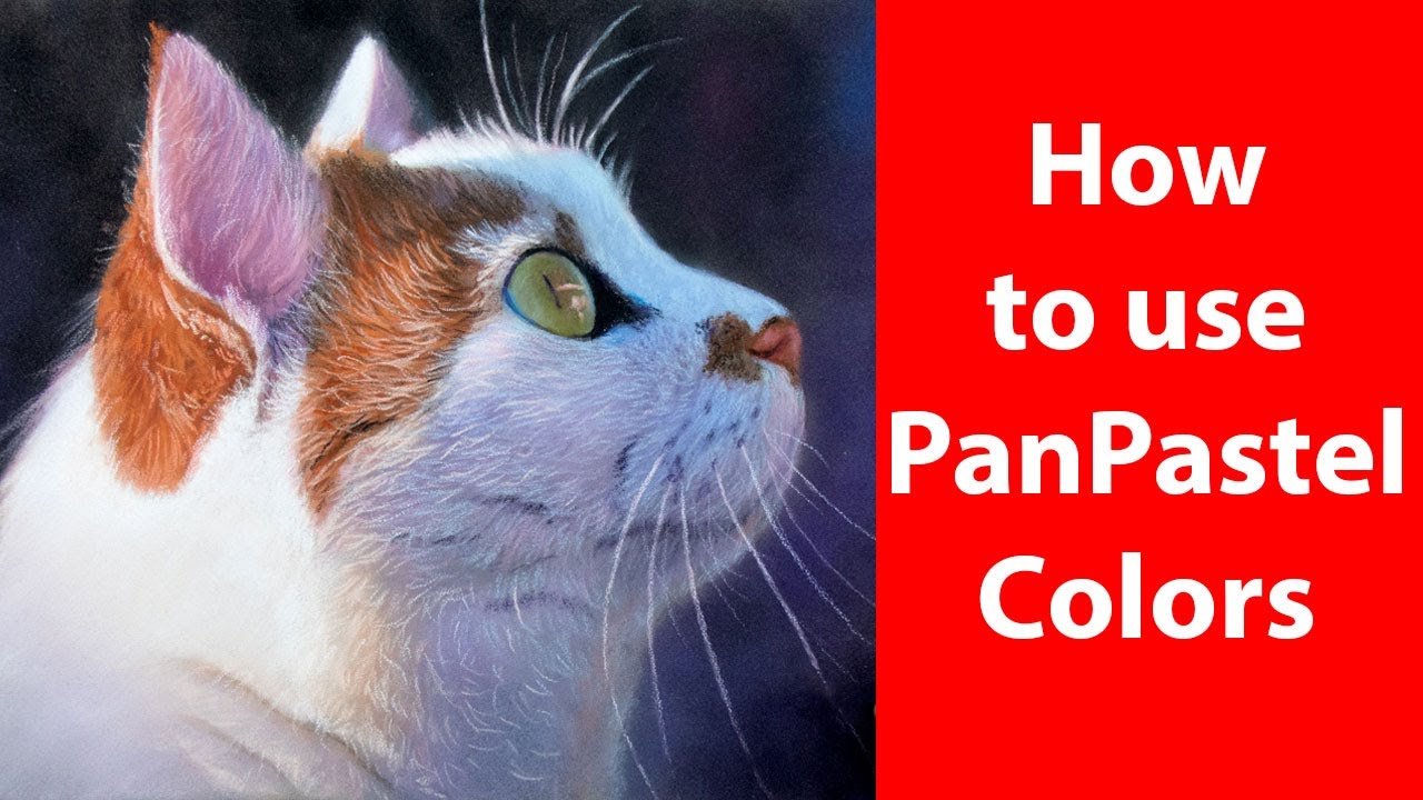 Master Panpastel Colors With Jason Morgan: A Complete Guide | JasonMorgan.co.uk