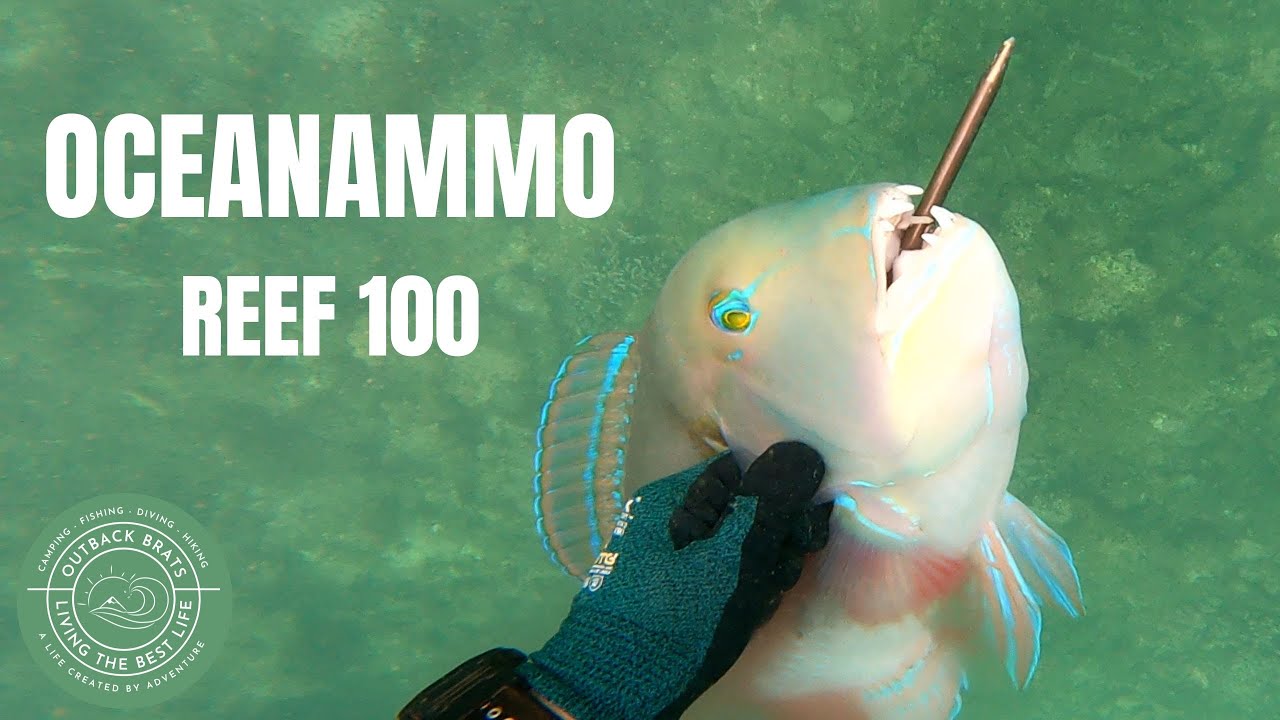 Ружье для подводной охоты OCEANAMMO REEF 100 TIMBER — первое путешествие с новым ружьём