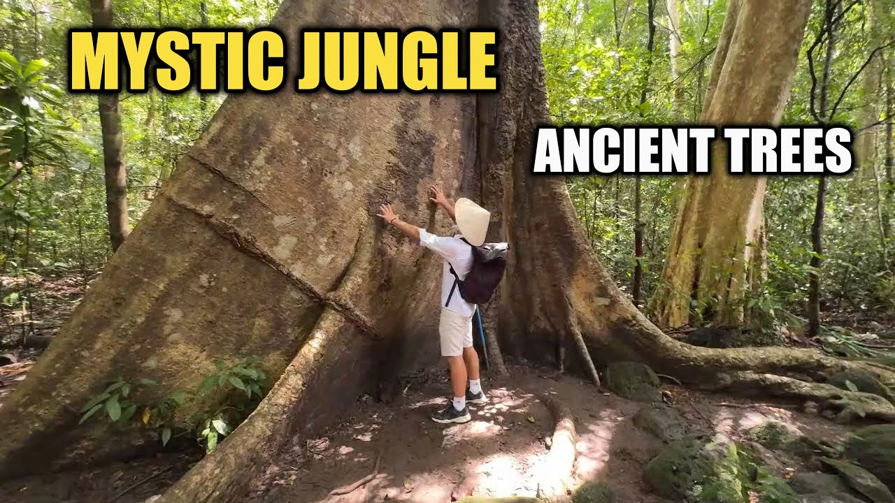 S2-19🇻🇳: Jungle Adventures in Vietnam - Cat Tien