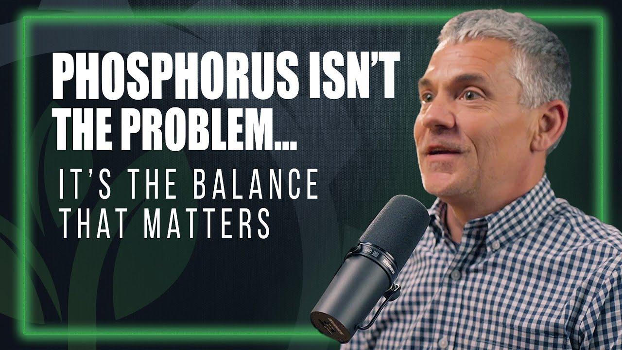 Phosphorus Done Right 🌽 | Why Balance Beats Volume in Modern Farming