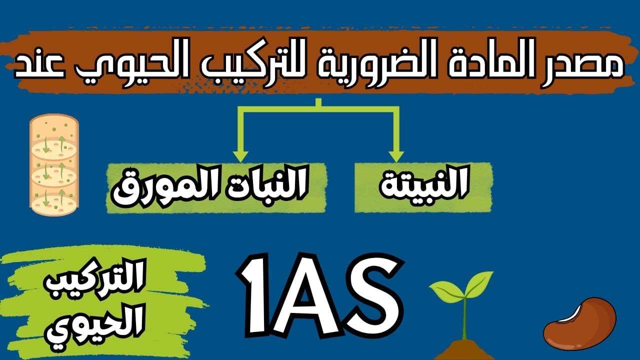 التركيب الحيوي عند النبات أولى ثانوي/الجزء1 /فهم مضمون💯💯💯
