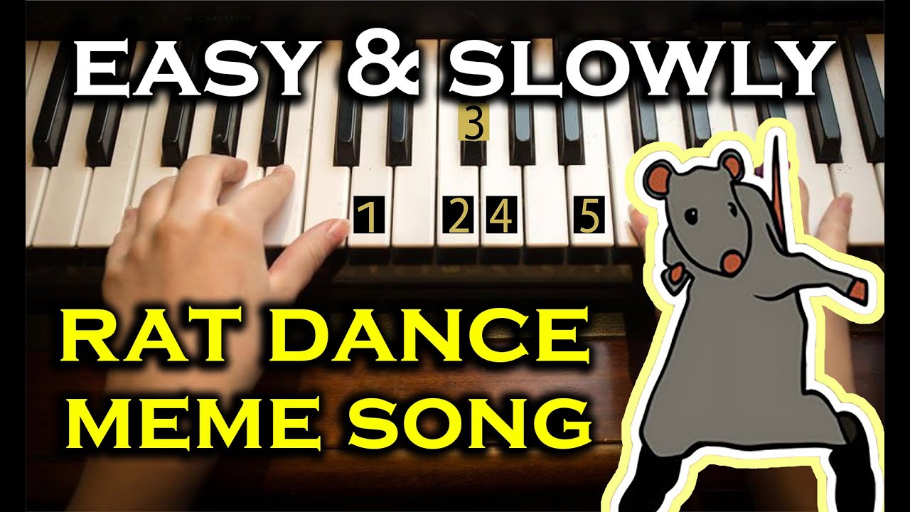 Easy & slowly Piano Tuto | RAT DANCING MEME SONG | Beginner Piano - Number Notes