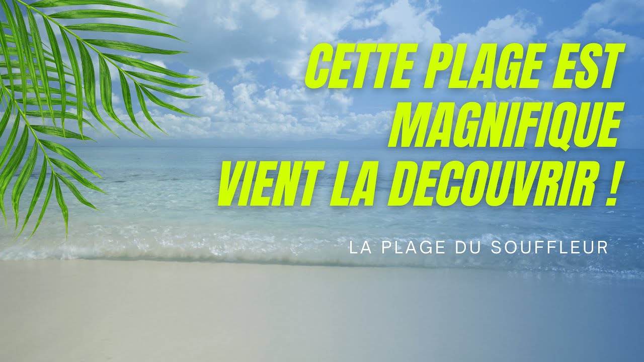 Une plage paradisiaque de Guadeloupe