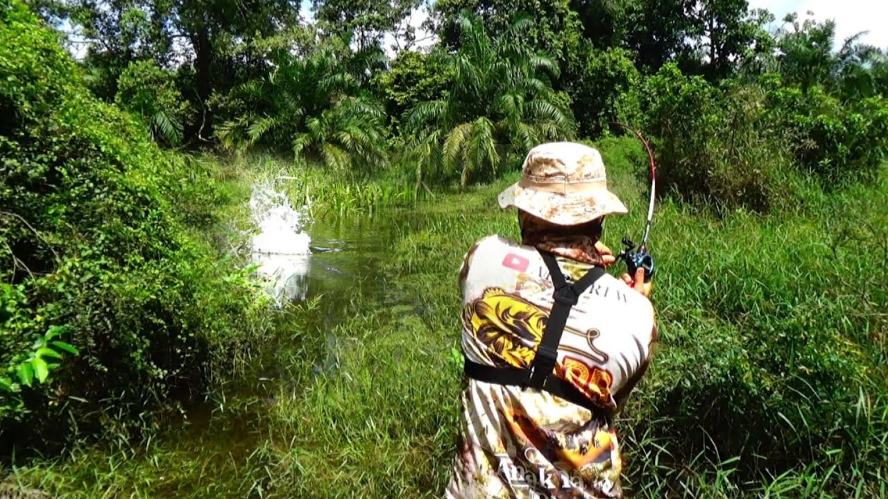 SPOT ANGLER 2001 DI OBOK-OBOK  ‼️