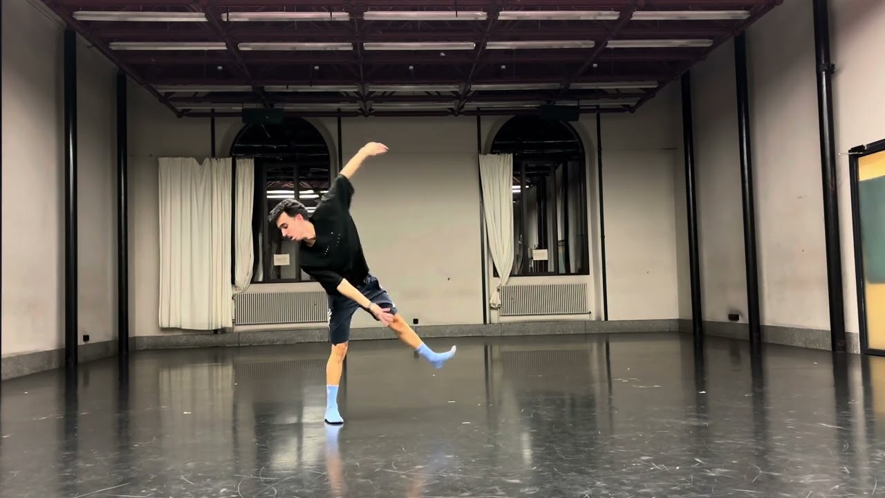 NDT AUDITION 2025-2026 SPYROS ZIKOS