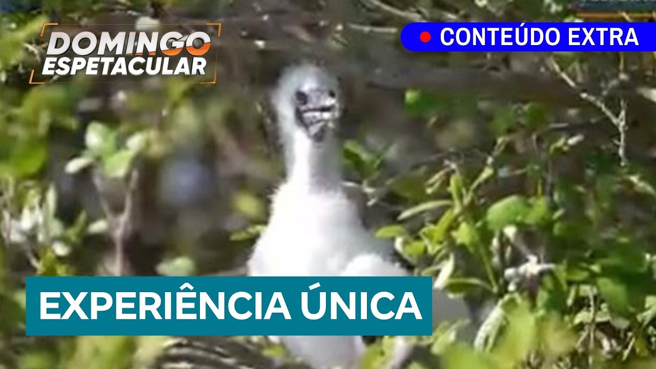 Álvaro Garnero visita o Jardim Botânico, o Atol Cosmoledo e outras maravilhas naturais em Seychelles