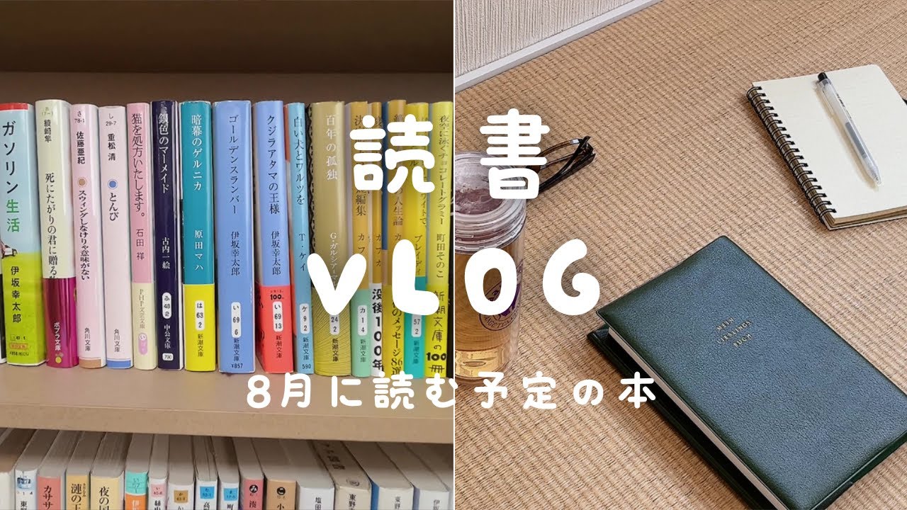 【読書 Vlog】8月に読む予定の本を紹介｜久しぶりの書店で買った購入本紹介｜和室で読書｜積読ビンゴ｜