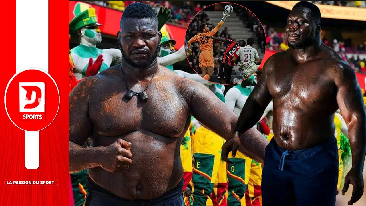 Tapha Tine vs Franc : Choc de poids lourds à l'Arène nationale, ce dimanche