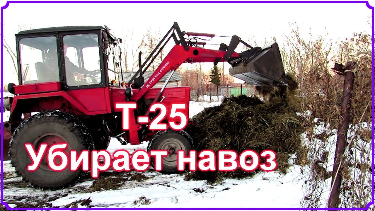 Т- 25  убирает навоз.