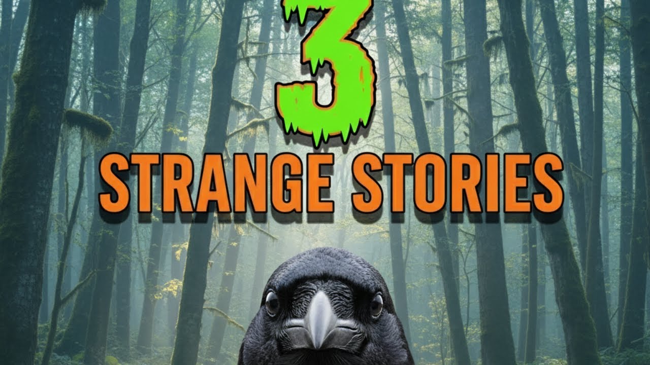 3 STRANGE STORIES FOR BEFORE YOU FALL ASLEEP