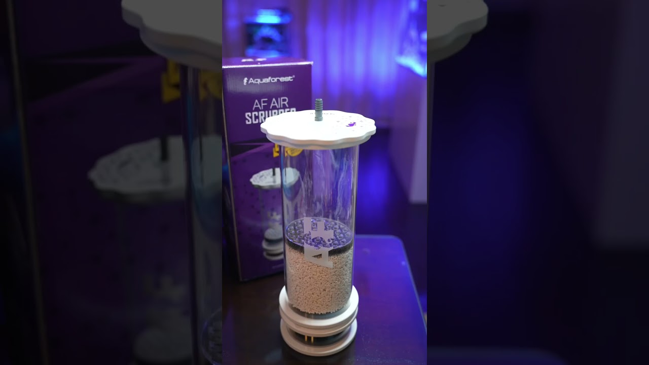 The Air Scrubber That Changed Everything