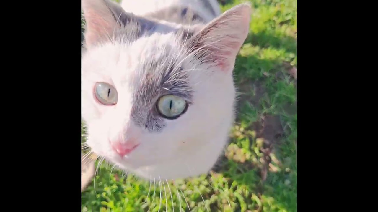 Benden kaçış yok sevicem dedim 😀😃