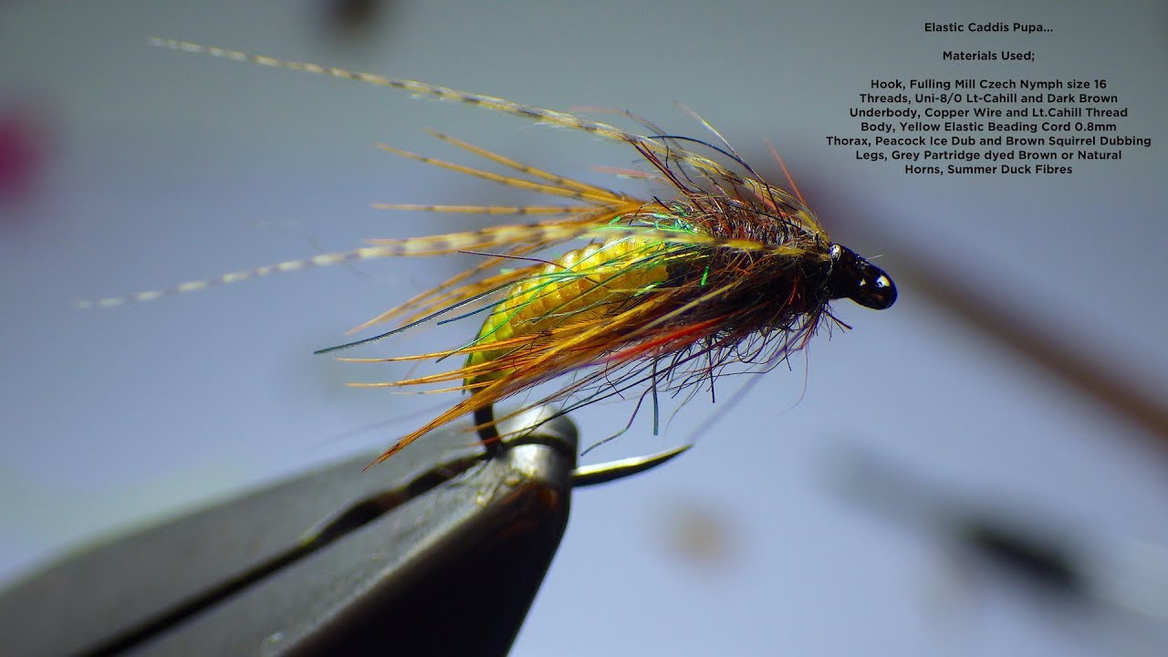 Tying a Elastic Caddis Pupa by Davie McPhail