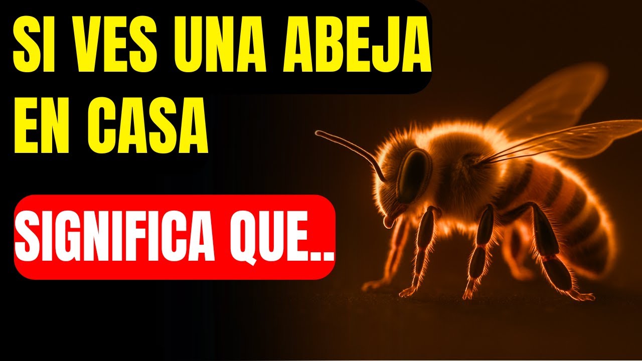ABEJAS EN TU VIDA: SIGNIFICADO ESPIRITUAL, MENSAJE DIVINO Y CONEXIÓN CON LA ABUNDANCIA