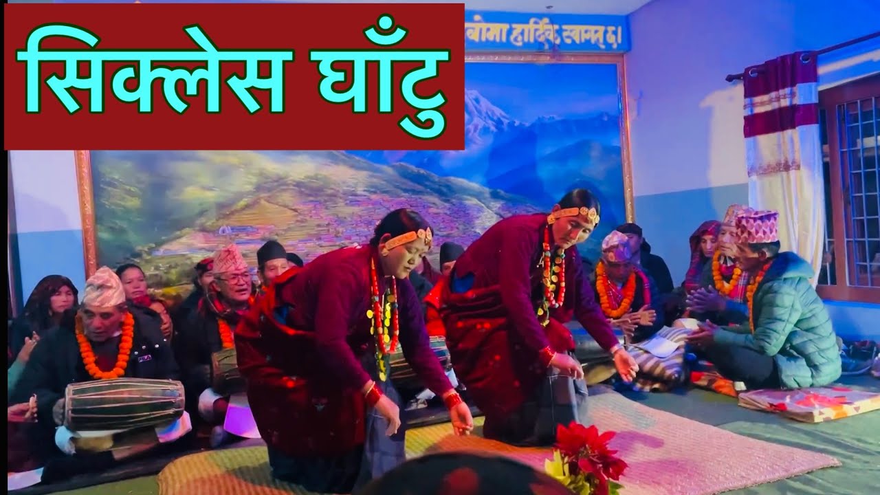 Sikles gauko ghatu nach. Gurung village sikles chiyuli youla kohibo !