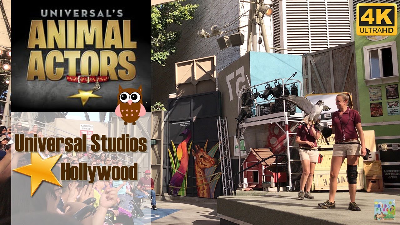 Universal's Animal Actors - Universal Studios Hollywood 2017 [4k]