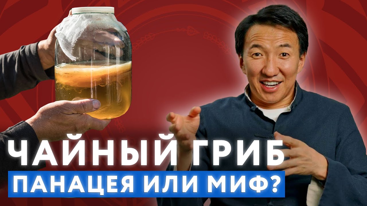 Польза и вред Чайного Гриба для здоровья // #докторжимба
