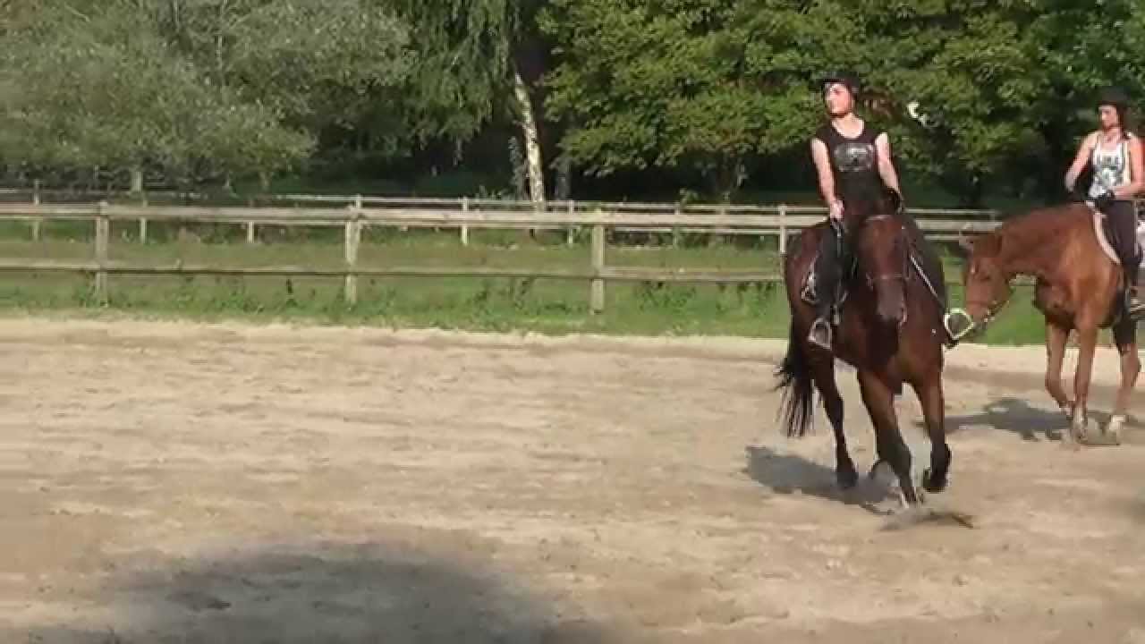 Cours de dressage (Sonia et Wendy)