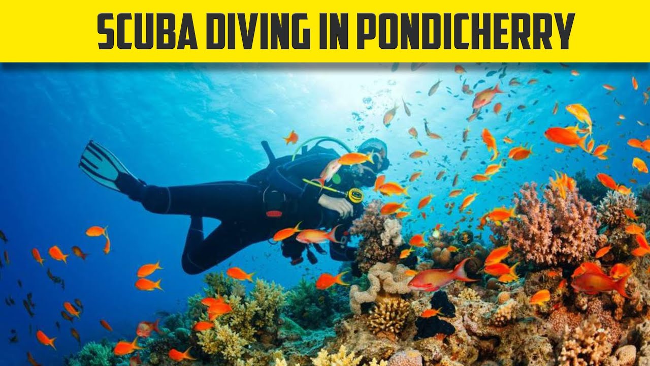 Scuba Diving Experience in Pondicherry | BEST Underwater experience in India😍