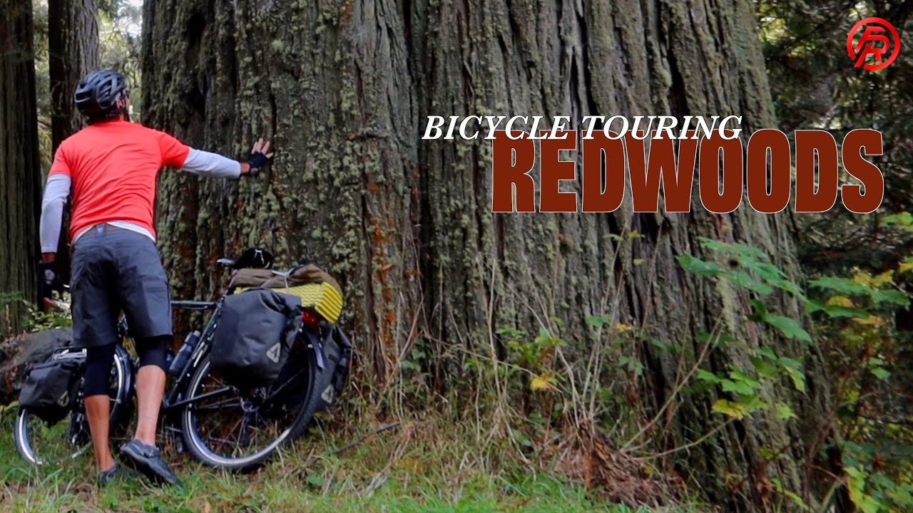 Mind Blowing Cycling and Camping in the Redwoods - Pacific Coast Bike Route -  Ep5