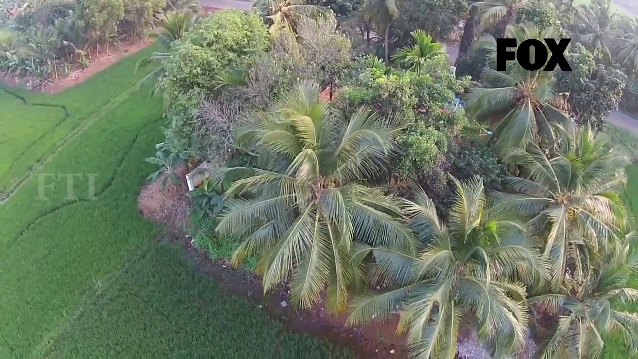indian village drone | kerala | Fox Traveller India