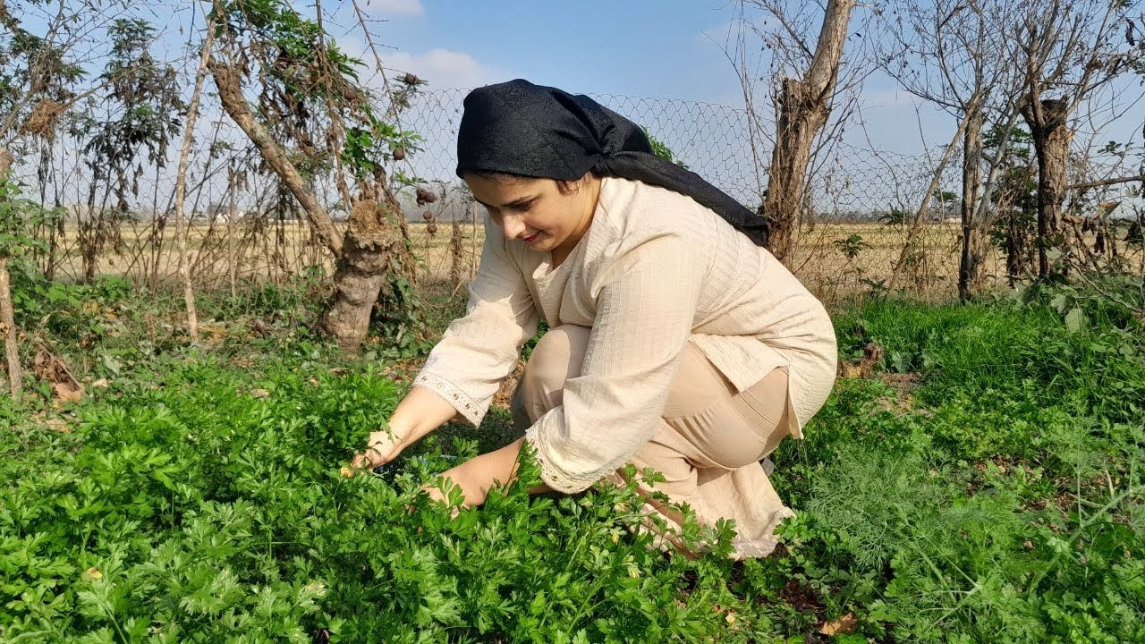 Village life in Iran/Making Azgil pickle,an authentic pickle