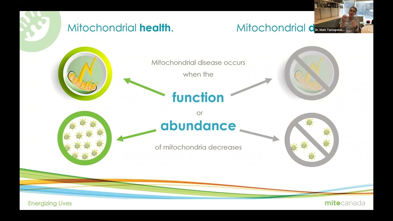 Exercise as Medicine for Mitochondrial Health