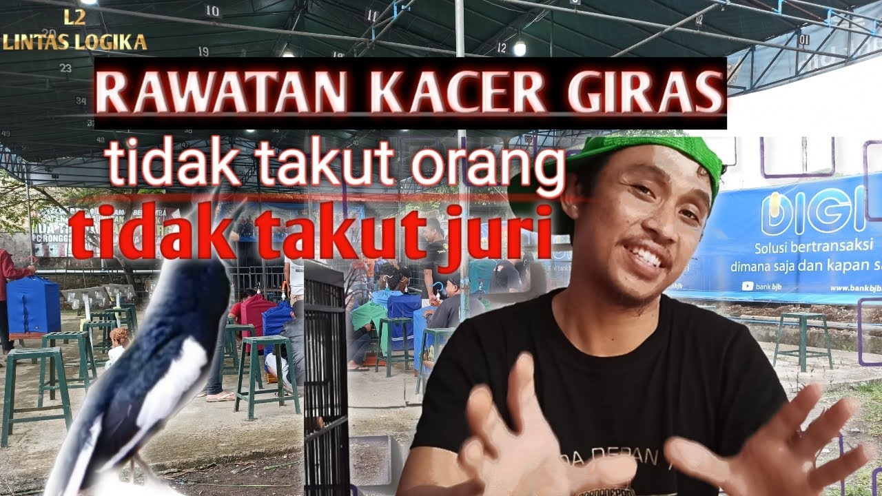 RAWATAN BURUNG KACER GIRAS