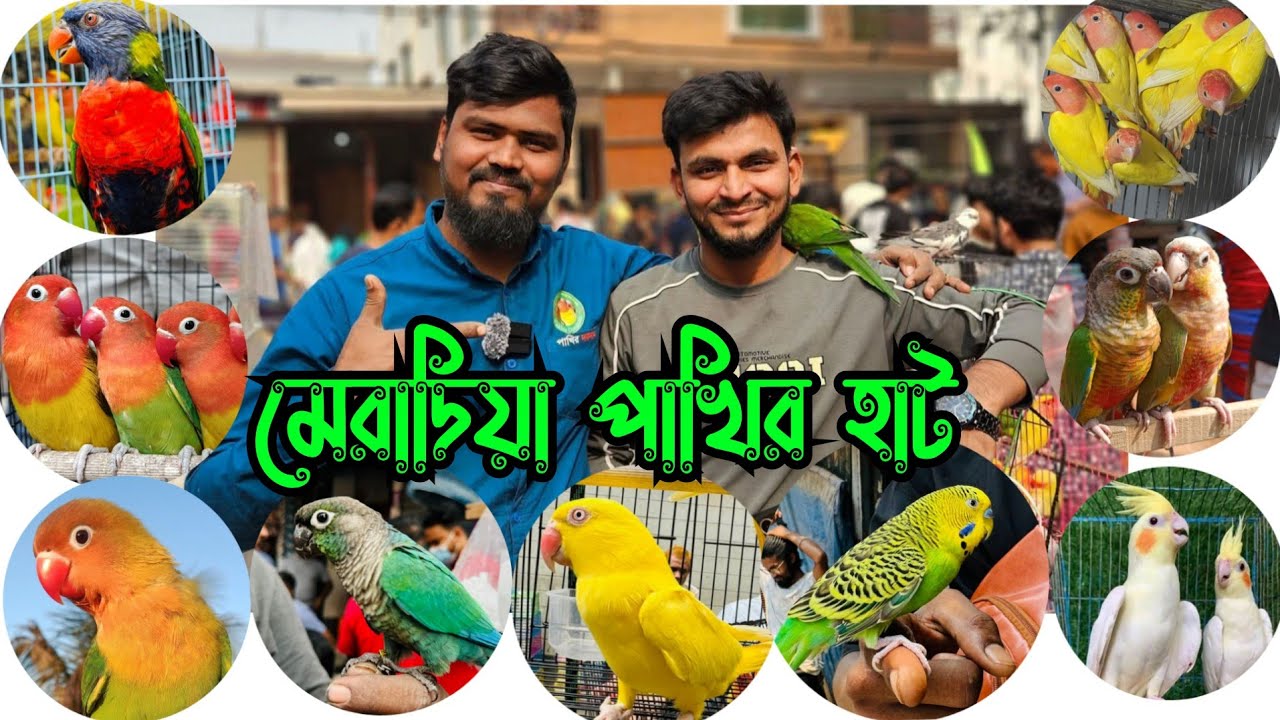 মেরাদিয়া পাখির হাট 