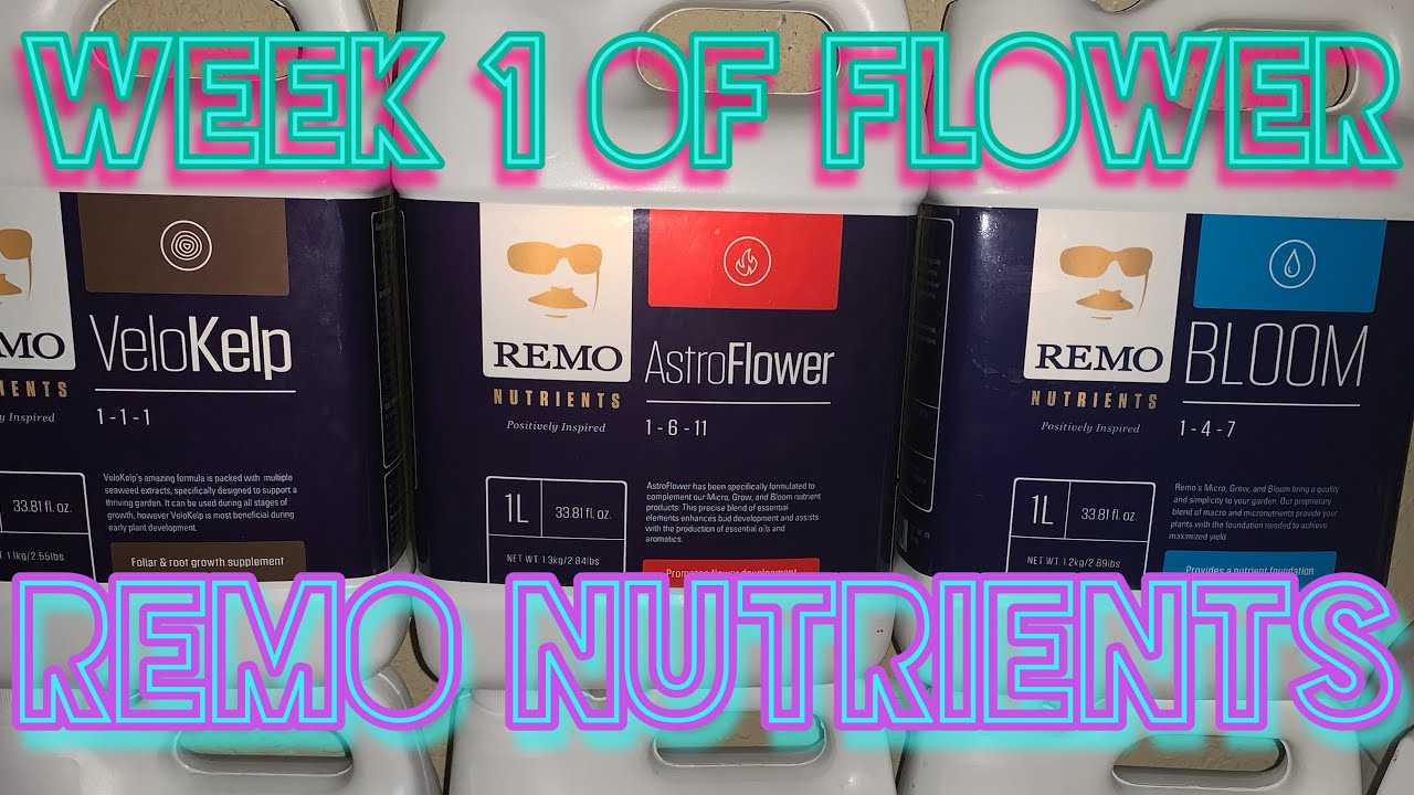 Using Remo nutrients, How to mix nutrients, PPM, P.H,transition to flower & week 1