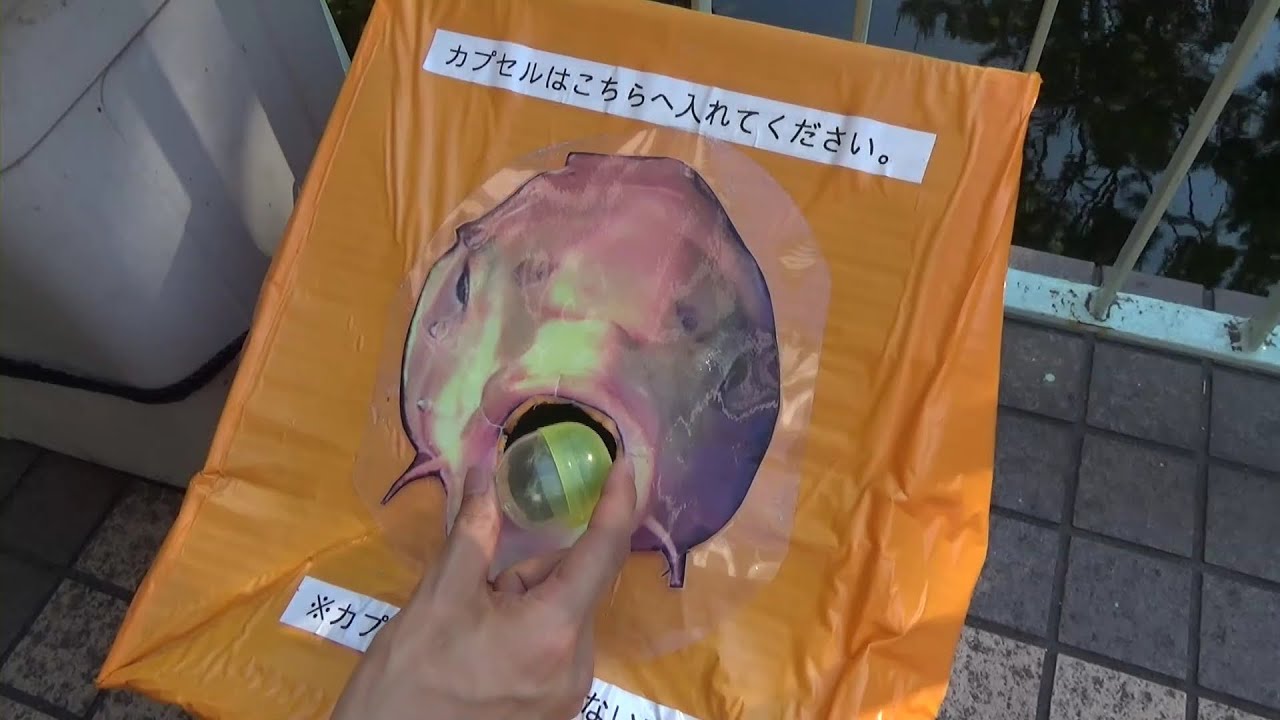 Koi Carp Fish Feed Vending Machine Gashapon Feeding Fish is Interesting!