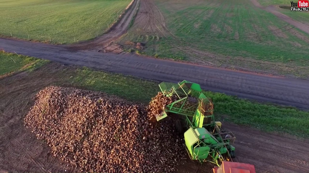 Kopanie buraków oraz zwożenie liści 2015 z lotu ptaka [DJI PHANTOM 3]