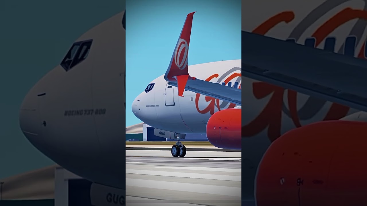 Infinite Flight Multiplayer