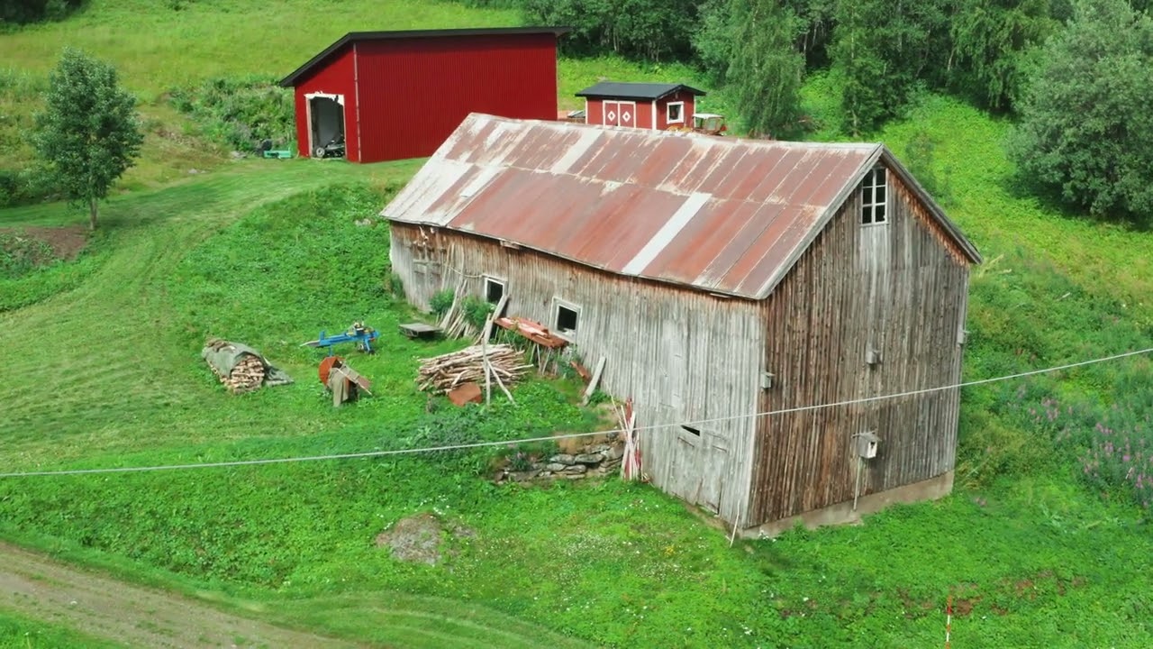 Rönäs Sommer 2025