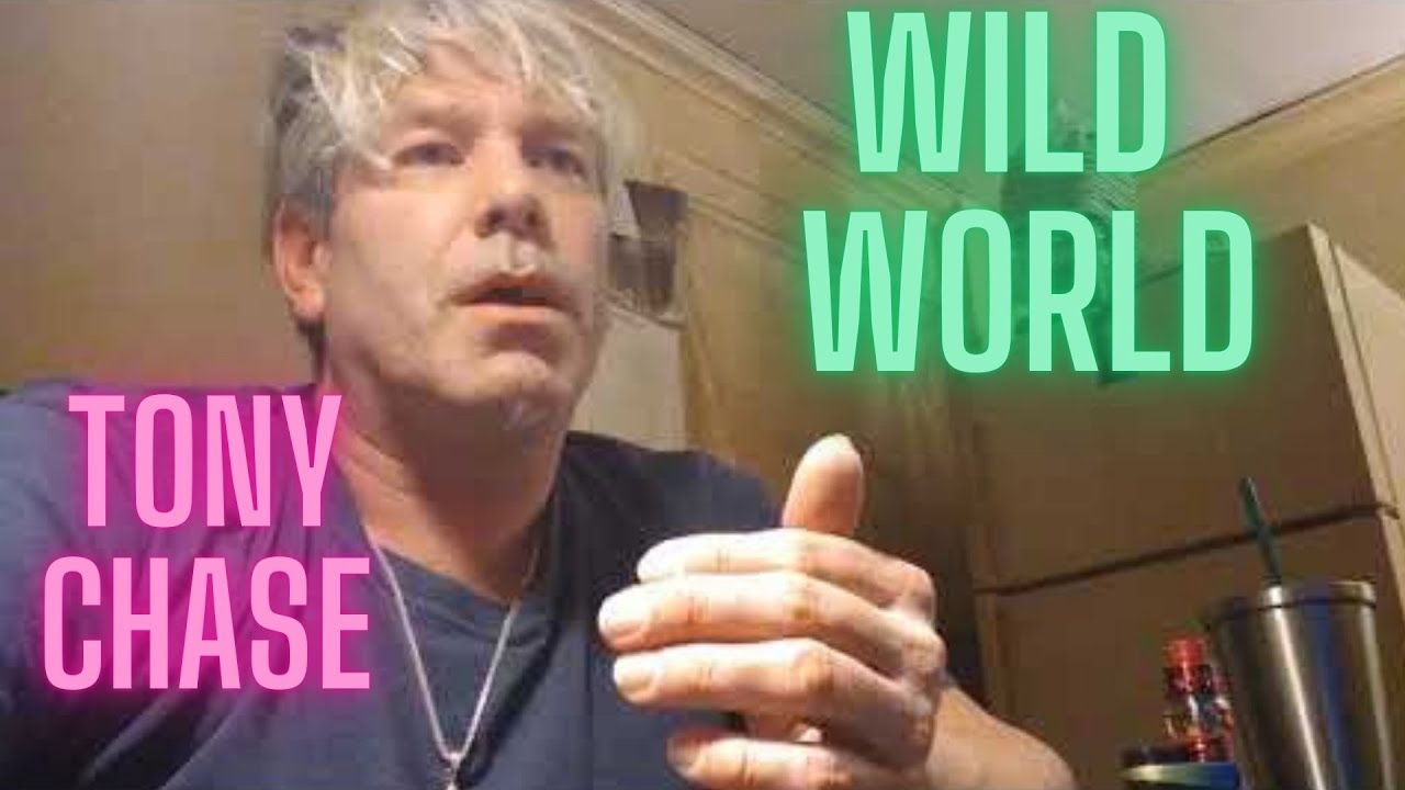 A Quick Look Into The Wild World Of Tony Chase